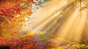 Autumn Guided Meditation